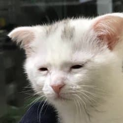 I'm awake, but at what cost_