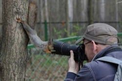 Jehovas Witness Squirrel