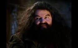 hagrid yer a wizard