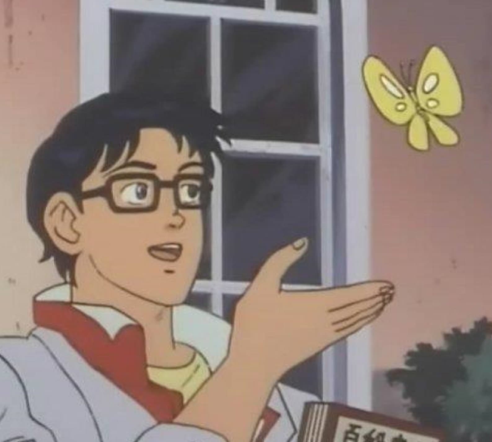 is-this-a-pigeon