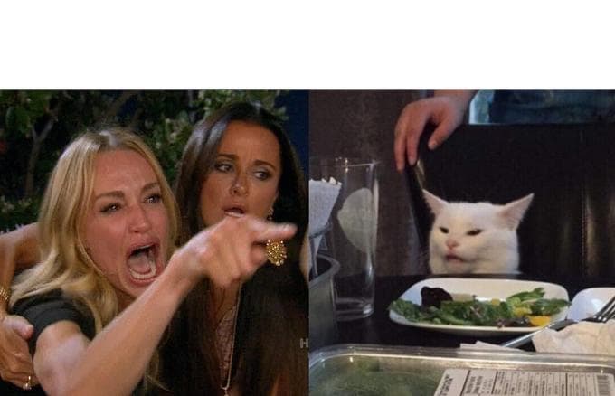 woman-yelling-cat